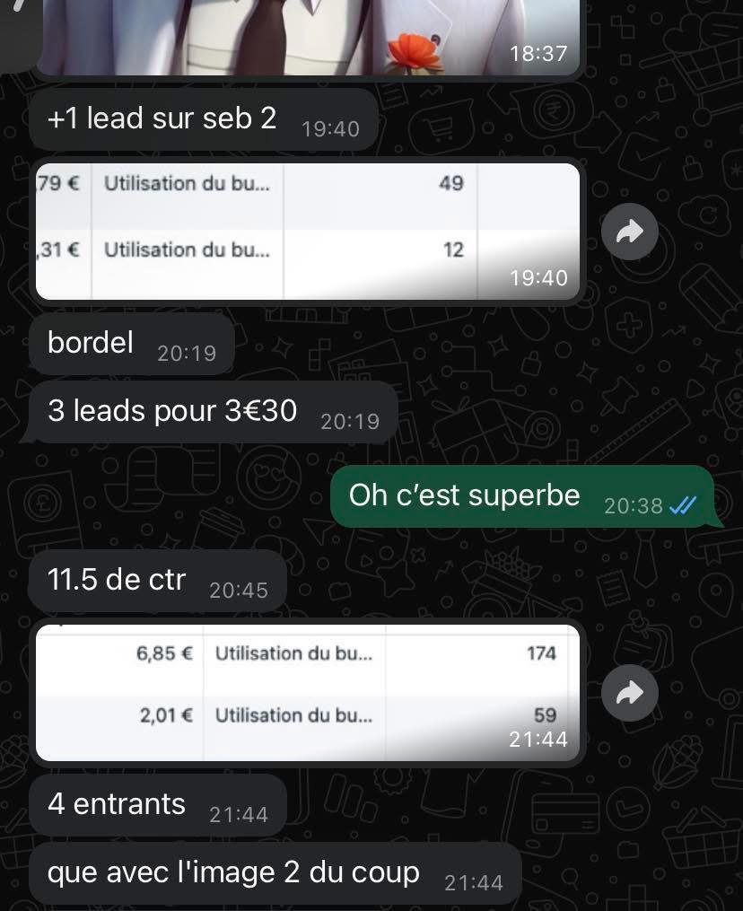 3 leads pour 3,30 et 4 entrants sur une seule créa